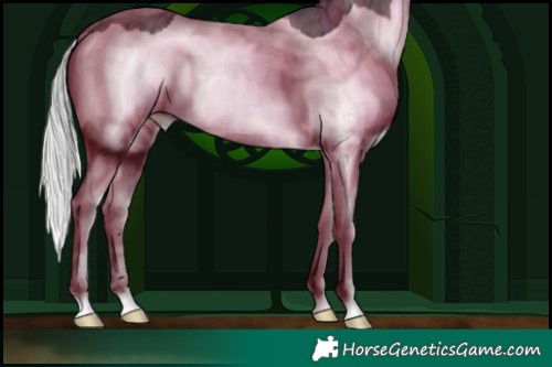 Horse Color:Silver Black Chinchilla Ice Splash 