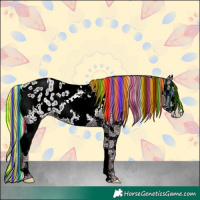 Horse Color:Painted White Spotted Silver Black Sabino Splash Appaloosa Rabicano 
