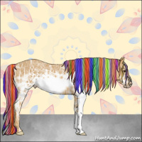 Horse Color:Painted White Spotted Palomino Ice Frame Rabicano 