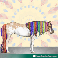 Horse Color:Painted White Spotted Palomino Ice Frame Rabicano