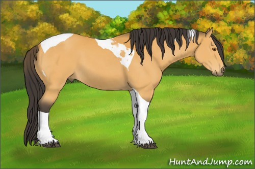 Horse Color:Buckskin Tobiano 