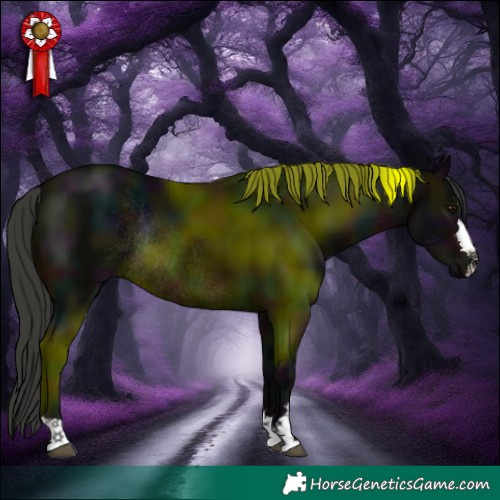 Horse Color:Midnight Brown Rabicano 