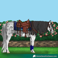 Horse Color:Black Ice Splash 