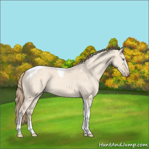 Horse Color:Perlino Dun Tobiano 