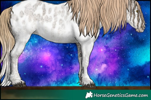 Horse Color:White Spotted Liver Red Dun Ice Roan Pearl Splash Appaloosa