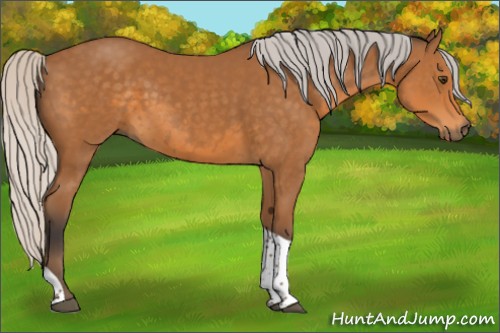 Horse Color:Silver Buckskin Tobiano 