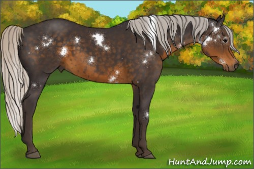 Horse Color:White Spotted Silver Smoky Black 