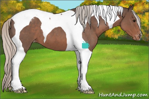Horse Color:Silver Blue Roan Tobiano Varnish 