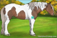 Horse Color:Silver Blue Roan Tobiano Varnish