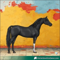Horse Color:Platinum Black Tobiano 