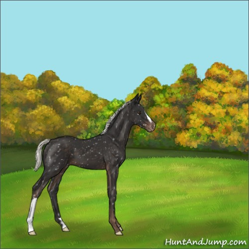 Horse Color:Liver Chestnut Mushroom Snowflake Varnish 