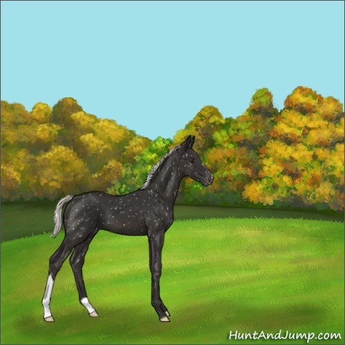 Horse Color:Liver Chestnut Mushroom Snowflake Varnish 