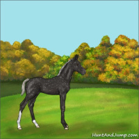 Horse Color:Liver Chestnut Mushroom Snowflake Varnish 