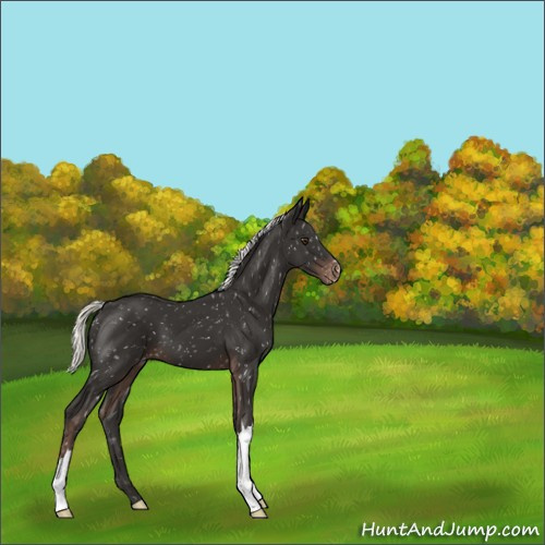 Horse Color:Liver Chestnut Mushroom Snowflake Varnish