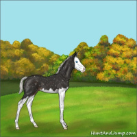 Horse Color:Liver Chestnut Mushroom Splash Snowflake Varnish 