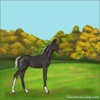 Horse Color:Liver Chestnut Mushroom Snowflake Varnish