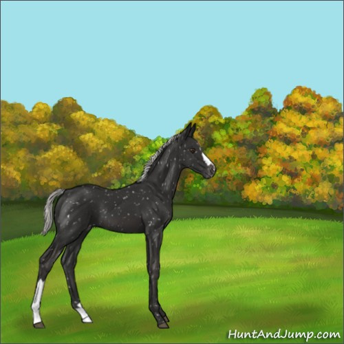 Horse Color:Liver Chestnut Mushroom Snowflake Varnish