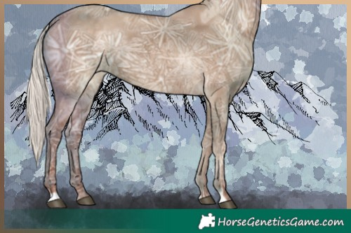 Horse Color:Silver Grullo Ice Rabicano 