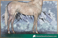 Horse Color:Silver Grullo Ice Rabicano 