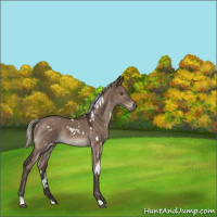Horse Color:White Spotted Silver Brown Dun Mushroom 