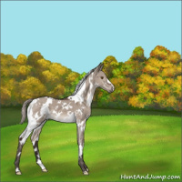 Horse Color:White Spotted Silver Brown Dun Mushroom 