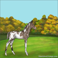 Horse Color:White Spotted Silver Brown Dun Mushroom Varnish 