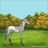 Horse Color:White Spotted Silver Brown Dun Mushroom 