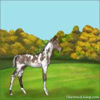 Horse Color:White Spotted Silver Brown Dun Mushroom 