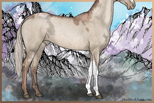 Horse Color:Silver Grullo Ice Pearl 