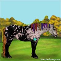 Horse Color:Void Painted White Spotted Chocolate Black Ice Sabino Appaloosa Rabicano 