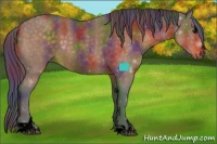 Horse Color:Void Nacre Buckskin Sabino 
