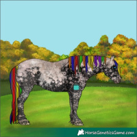 Horse Color:Void Painted White Spotted Classic Champagne Ice Splash Tobiano Rabicano