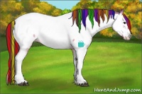 Horse Color:Painted White Spotted Chocolate Buckskin Ice Splash Near Fewspot 