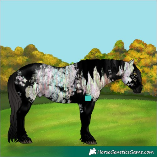 Horse Color:Void Brown Ice Sabino Splash Tobiano