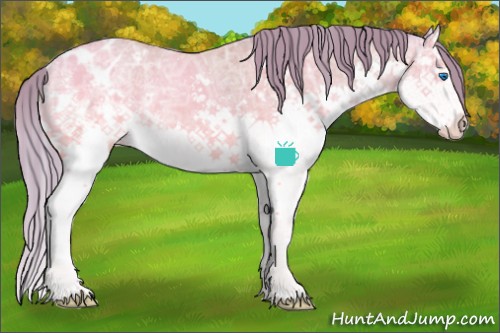 Horse Color:Watercolor Sable Cream Champagne Ice Sabino Splash Blanket Rabicano