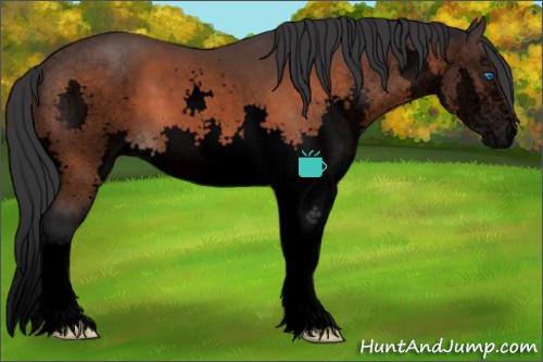 Horse Color:Void Brown Sabino Splash