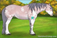 Horse Color:Watercolor Brown Dun Sabino Splash 