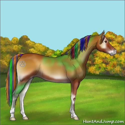 Horse Color:Painted Brown Onyx 