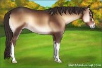 Horse Color:Liver Red Onyx 