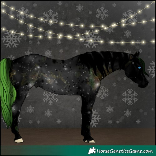 Horse Color:Void Watercolor White Spotted Midnight Buckskin Ice Splash Tobiano 