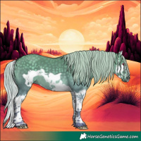 Horse Color:Silver Grullo Chinchilla Splash Frame 
