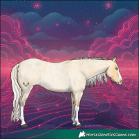 Horse Color:Silver Buckskin Roan Splash 