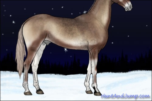 Horse Color:Void Silver Blue Onyx 