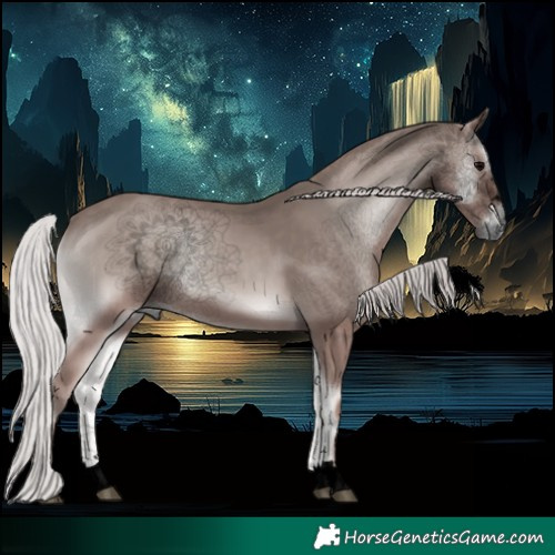 Horse Color:Void Platinum Silver Blue Onyx 