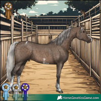 Horse Color:Silver Brown Dun Sabino Tobiano
