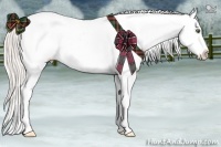 Horse Color:Silver Amber Champagne Appaloosa 