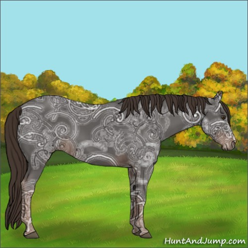 Horse Color:Liver Chestnut Ice