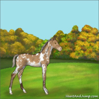 Horse Color:White Spotted Silver Buckskin Dun Mushroom Varnish 