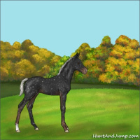 Horse Color:Liver Chestnut Mushroom Snowflake Varnish 