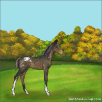 Horse Color:Chocolate Palomino Mushroom Snowflake Varnish 